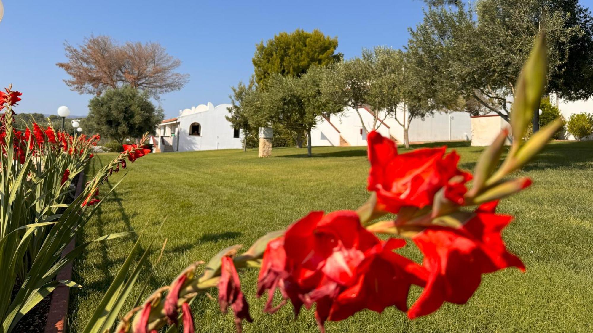 Ferienpark Villaggio Idra Vieste